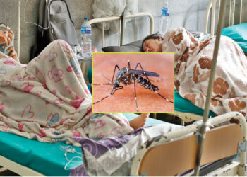 सुनसरी सहित ७२ जिल्लामा फैलियो डेङ्गी, कुन जिल्लामा कति छन संक्रमित ? सुचीसहित