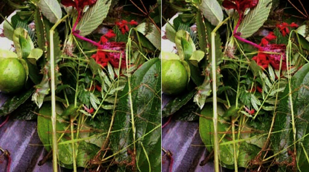 आज साउने संक्रान्ति, ‘लुतो फाल्ने’ दिन