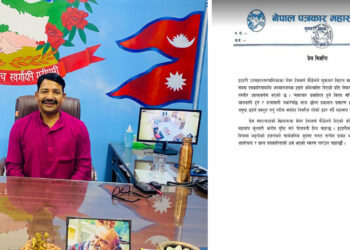 मेयरको अभिव्यक्तिप्रति पत्रकार महासंघको आपत्ति , आराेप पुस्टी गर्न चुनाैती