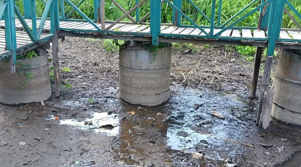 असारमै खडेरीले सुक्न थाल्यो बेतना सिमसार, मर्न थाले माछा