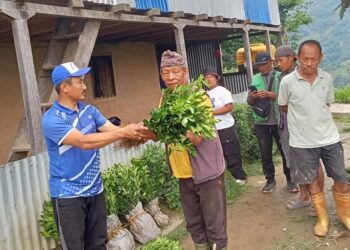 खावाको कृषि पकेट क्षेत्रमा सुन्तलाको विरुवा वितरण