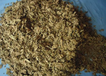 एम्बुलेन्सबाट ५१ किलो गाँजा बरामद