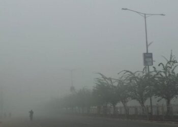 बाक्लो हुस्सु र कुहिरोले पश्चिम तराईको जनजीवन प्रभावित