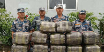 सुनसरीको सीमाक्षेत्रबाट १६० केजी गाँजा बरामद, ओसारपसारमा संलग्न व्यक्ति फरार