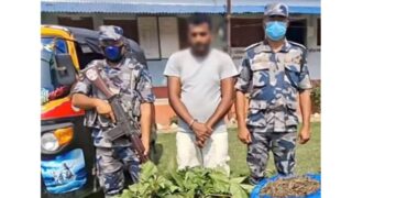 सिरहाबाट १९ किलो गाँजासहित युवक पक्राउ