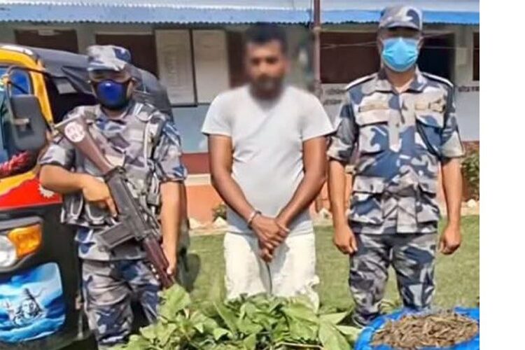 सिरहाबाट १९ किलो गाँजासहित युवक पक्राउ